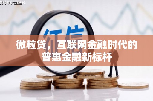 大堂微粒贷，互联网金融时代的普惠金融新标杆