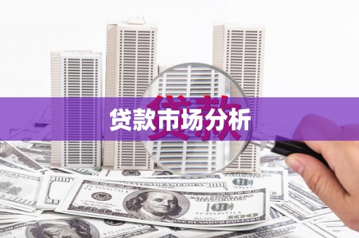 大堂贷款市场分析