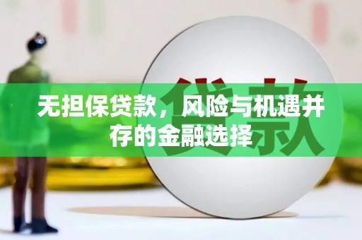 大堂无担保贷款，风险与机遇并存的金融选择