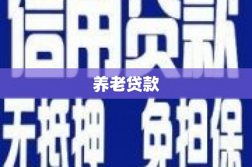 大堂养老贷款