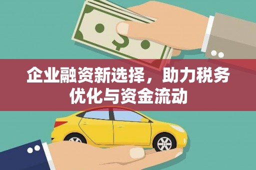 大堂企业融资新选择，助力税务优化与资金流动