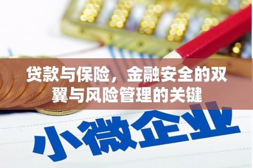 大堂贷款与保险，金融安全的双翼与风险管理的关键