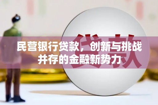 大堂民营银行贷款，创新与挑战并存的金融新势力
