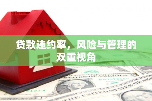 大堂贷款违约率，风险与管理的双重视角