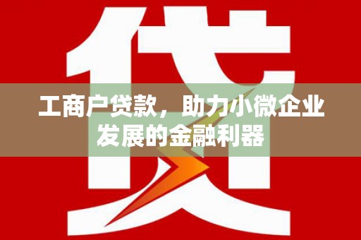 大堂工商户贷款，助力小微企业发展的金融利器