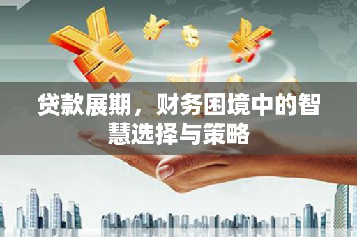 大堂贷款展期，财务困境中的智慧选择与策略