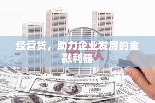 大堂经营贷，助力企业发展的金融利器
