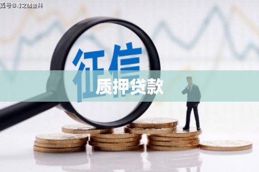 大堂质押贷款