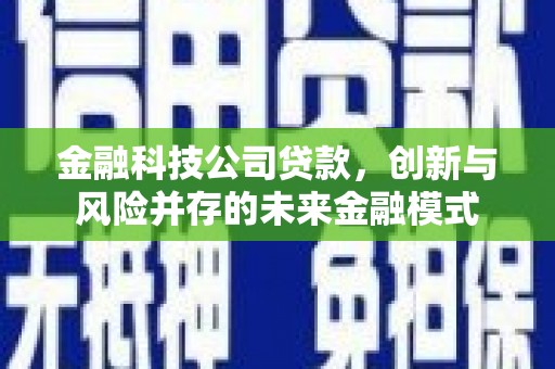 大堂金融科技公司贷款，创新与风险并存的未来金融模式