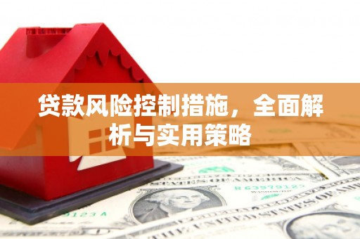 大堂贷款风险控制措施，全面解析与实用策略