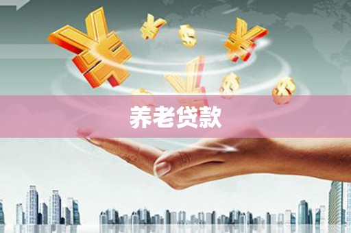 大堂养老贷款