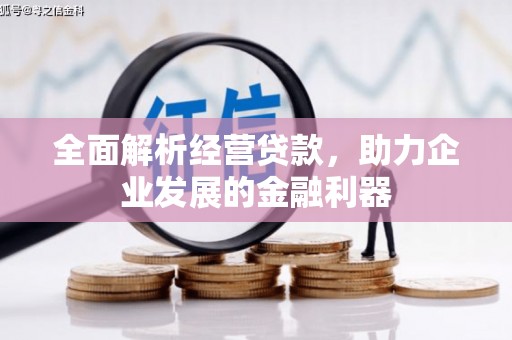 大堂全面解析经营贷款，助力企业发展的金融利器