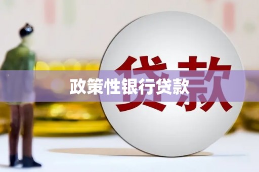 大堂政策性银行贷款