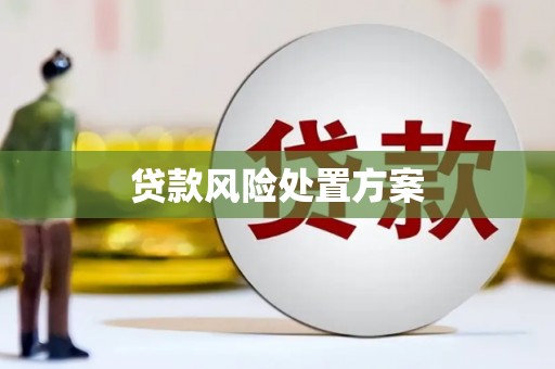 大堂贷款风险处置方案