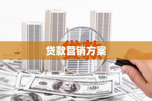 大堂贷款营销方案