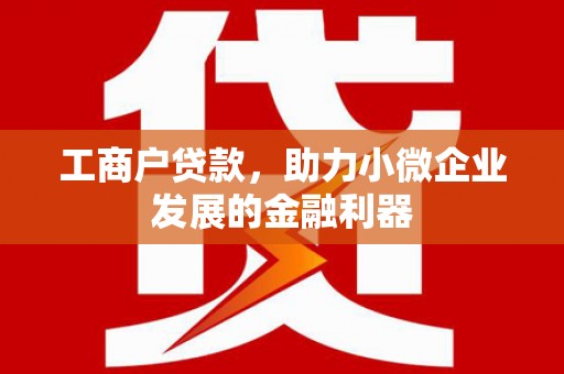 大堂工商户贷款，助力小微企业发展的金融利器