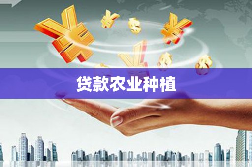 大堂贷款农业种植