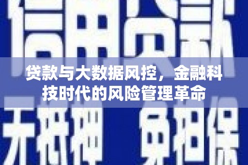 大堂贷款与大数据风控，金融科技时代的风险管理革命