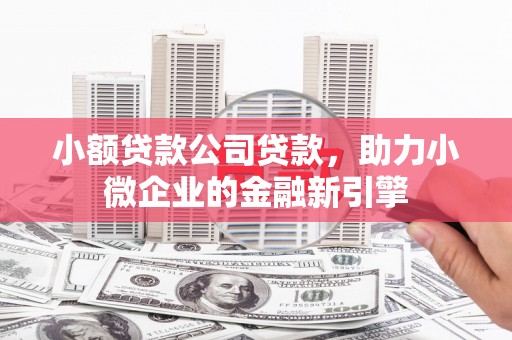 大堂小额贷款公司贷款，助力小微企业的金融新引擎
