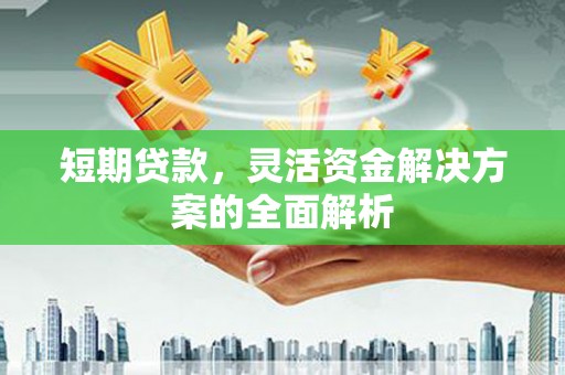 大堂短期贷款，灵活资金解决方案的全面解析