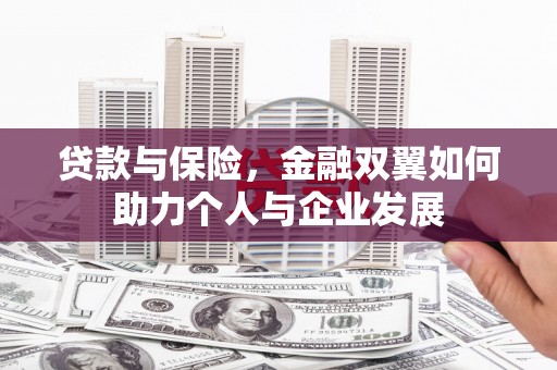 大堂贷款与保险，金融双翼如何助力个人与企业发展