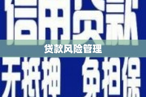 大堂贷款风险管理