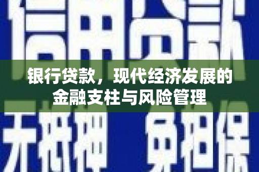 大堂银行贷款，现代经济发展的金融支柱与风险管理
