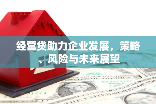 大堂经营贷助力企业发展，策略、风险与未来展望