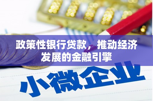大堂政策性银行贷款，推动经济发展的金融引擎
