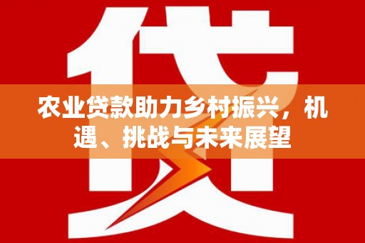 大堂农业贷款助力乡村振兴，机遇、挑战与未来展望