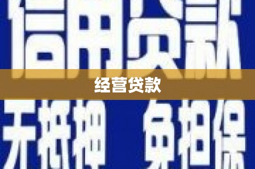 大堂经营贷款