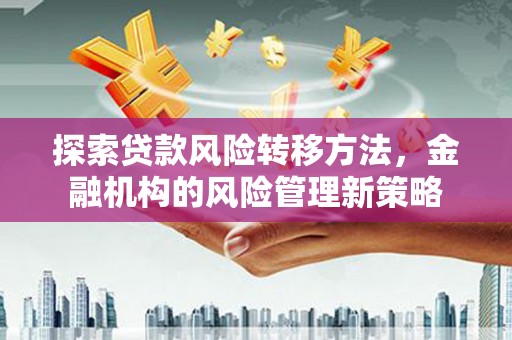 大堂探索贷款风险转移方法，金融机构的风险管理新策略