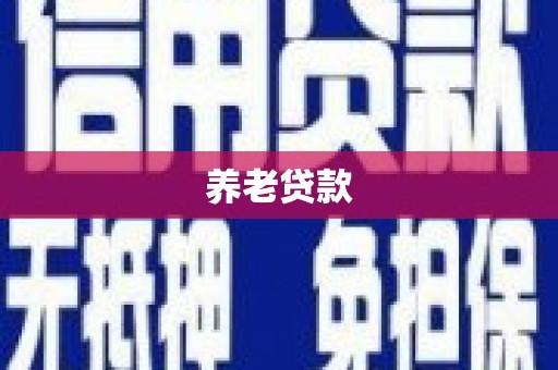 大堂养老贷款