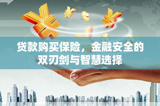 大堂贷款购买保险，金融安全的双刃剑与智慧选择