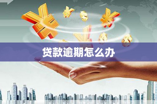 大堂贷款逾期怎么办