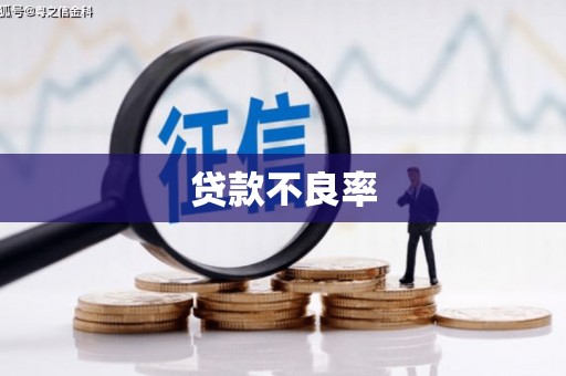 大堂贷款不良率