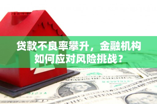 大堂贷款不良率攀升，金融机构如何应对风险挑战？