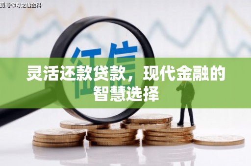 大堂灵活还款贷款，现代金融的智慧选择