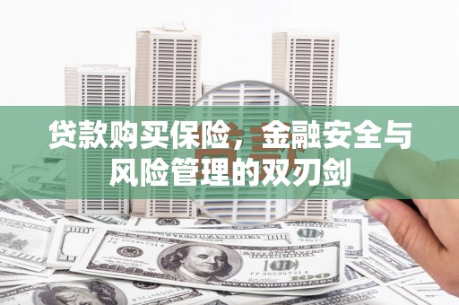 大堂贷款购买保险，金融安全与风险管理的双刃剑