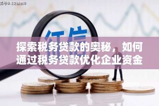 大堂探索税务贷款的奥秘，如何通过税务贷款优化企业资金流
