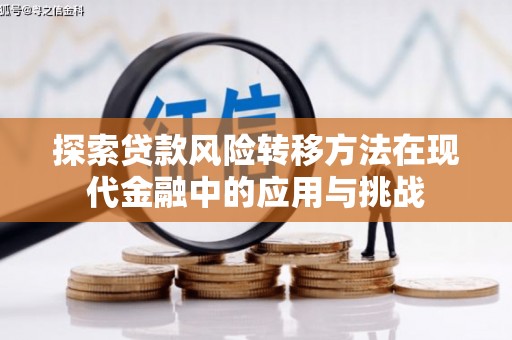 大堂探索贷款风险转移方法在现代金融中的应用与挑战