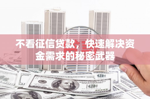 大堂不看征信贷款，快速解决资金需求的秘密武器