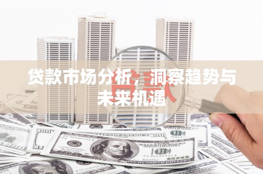 大堂贷款市场分析，洞察趋势与未来机遇