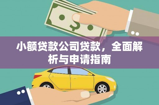 大堂小额贷款公司贷款，全面解析与申请指南