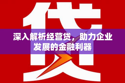 大堂深入解析经营贷，助力企业发展的金融利器