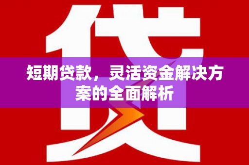 大堂短期贷款，灵活资金解决方案的全面解析