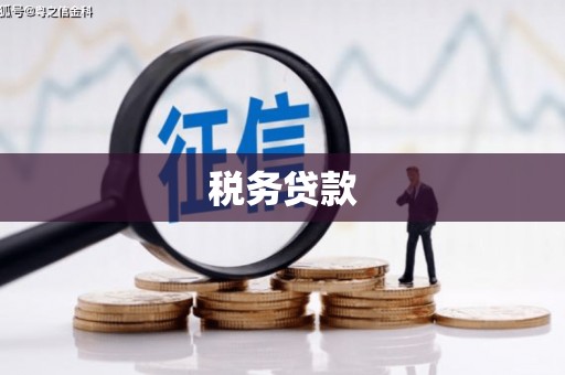 大堂税务贷款