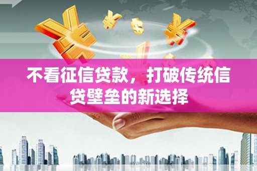 大堂不看征信贷款，打破传统信贷壁垒的新选择
