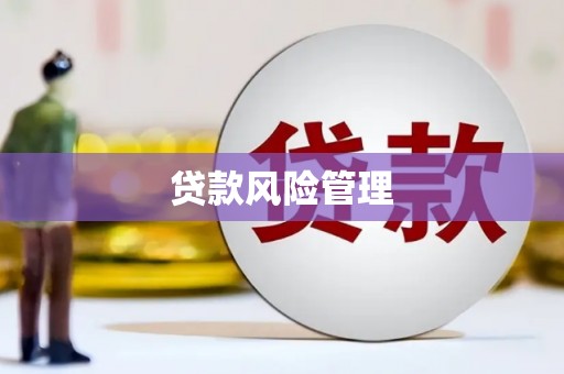 大堂贷款风险管理