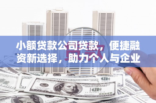 大堂小额贷款公司贷款，便捷融资新选择，助力个人与企业成长